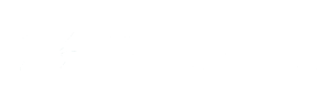 Dr Nisha logo white text